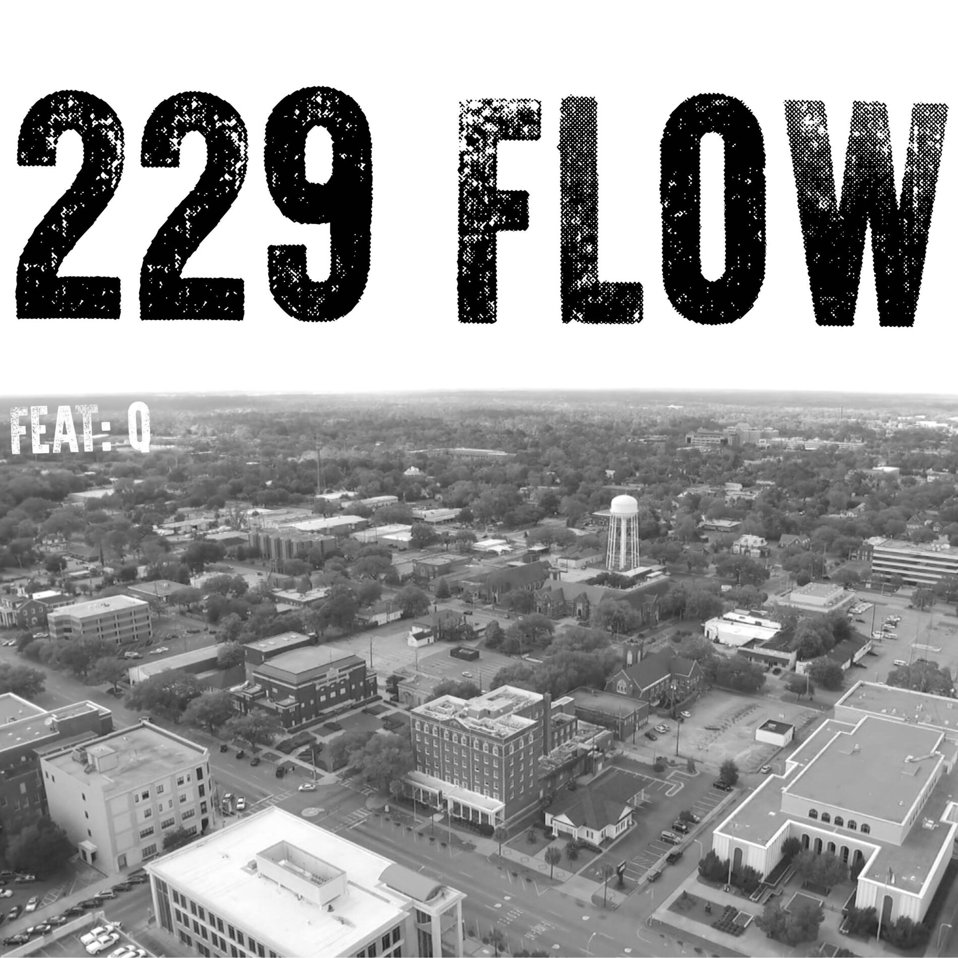 Album cover of 229 FLOW (feat. Q)