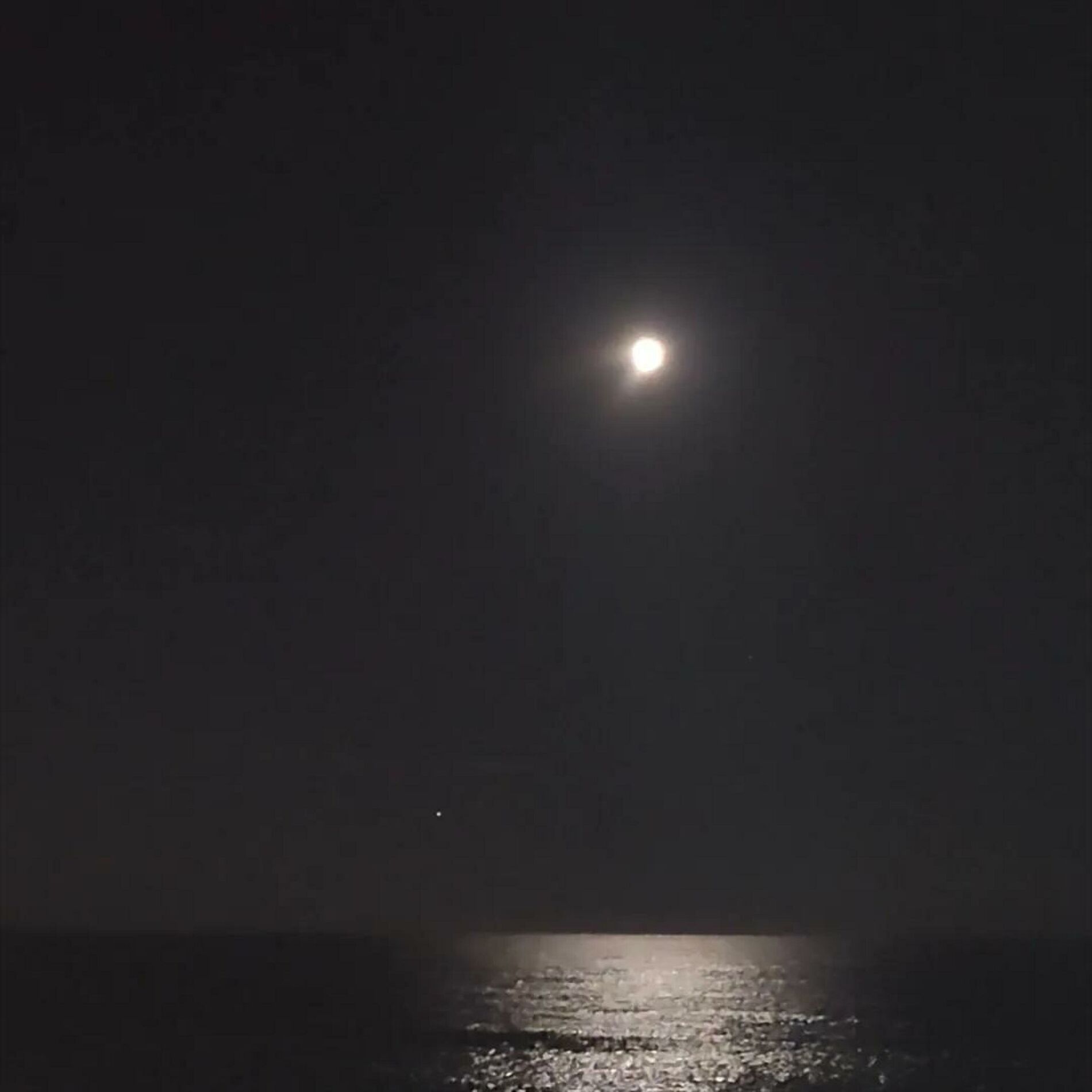 Album cover of Moonbeams
