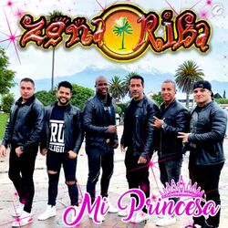 Cover of Mi Princesa