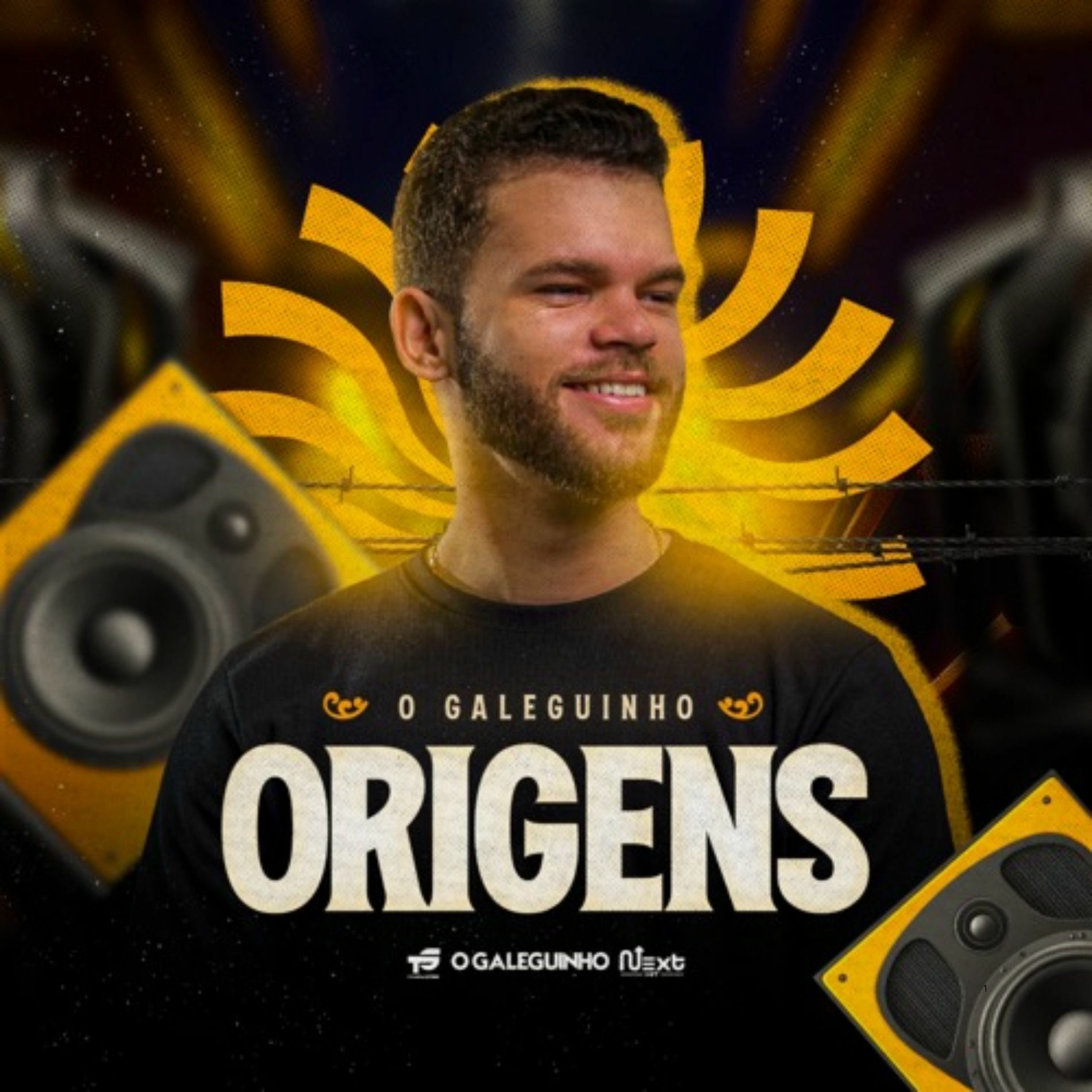 Album cover of Origens