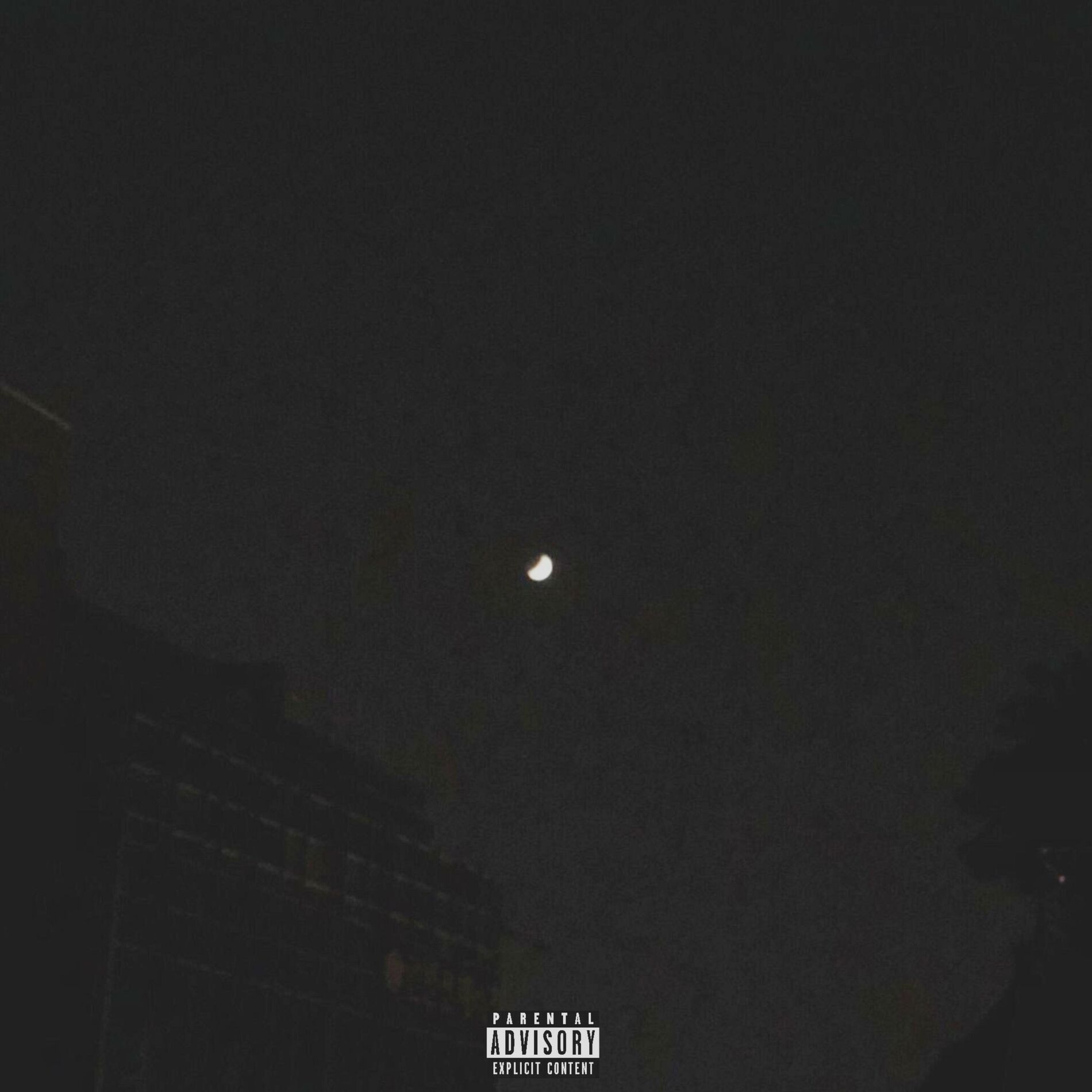 Album cover of AGENT NOIR