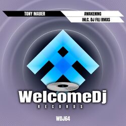 Cover of Awakening