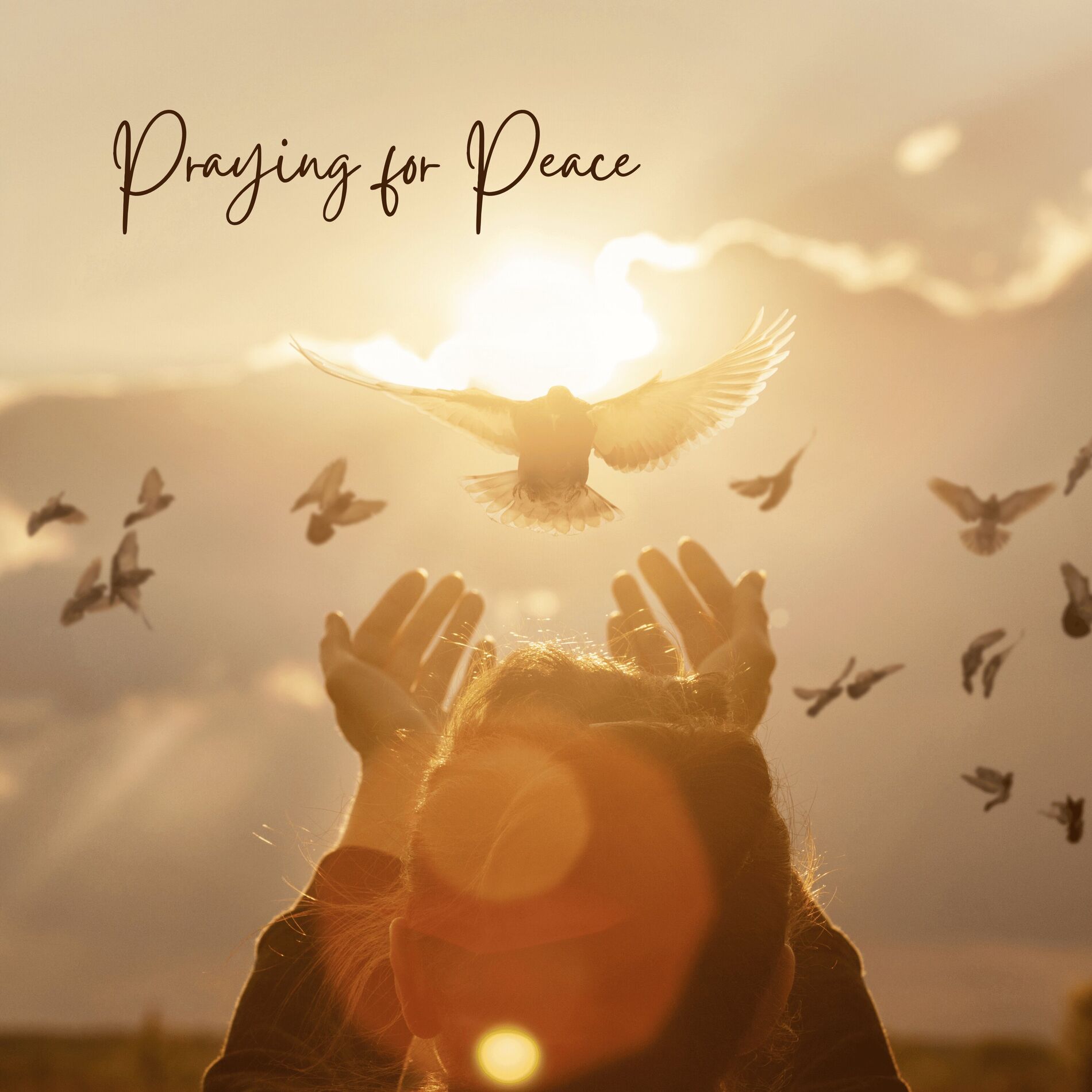 Album cover of Praying for Peace