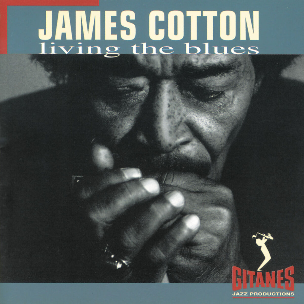 Album cover of Living The Blues