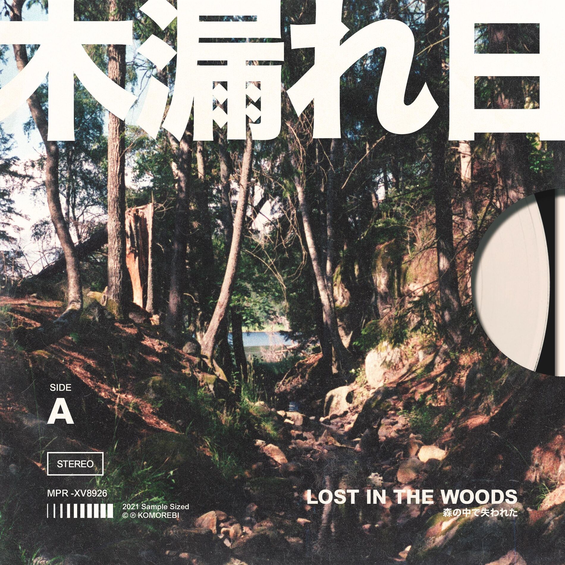 Album cover of Lost In The Woods