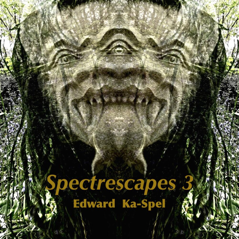 Picture of Spectrescape 131415 16