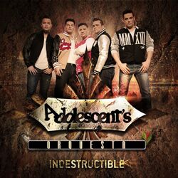 Cover of Indestructible