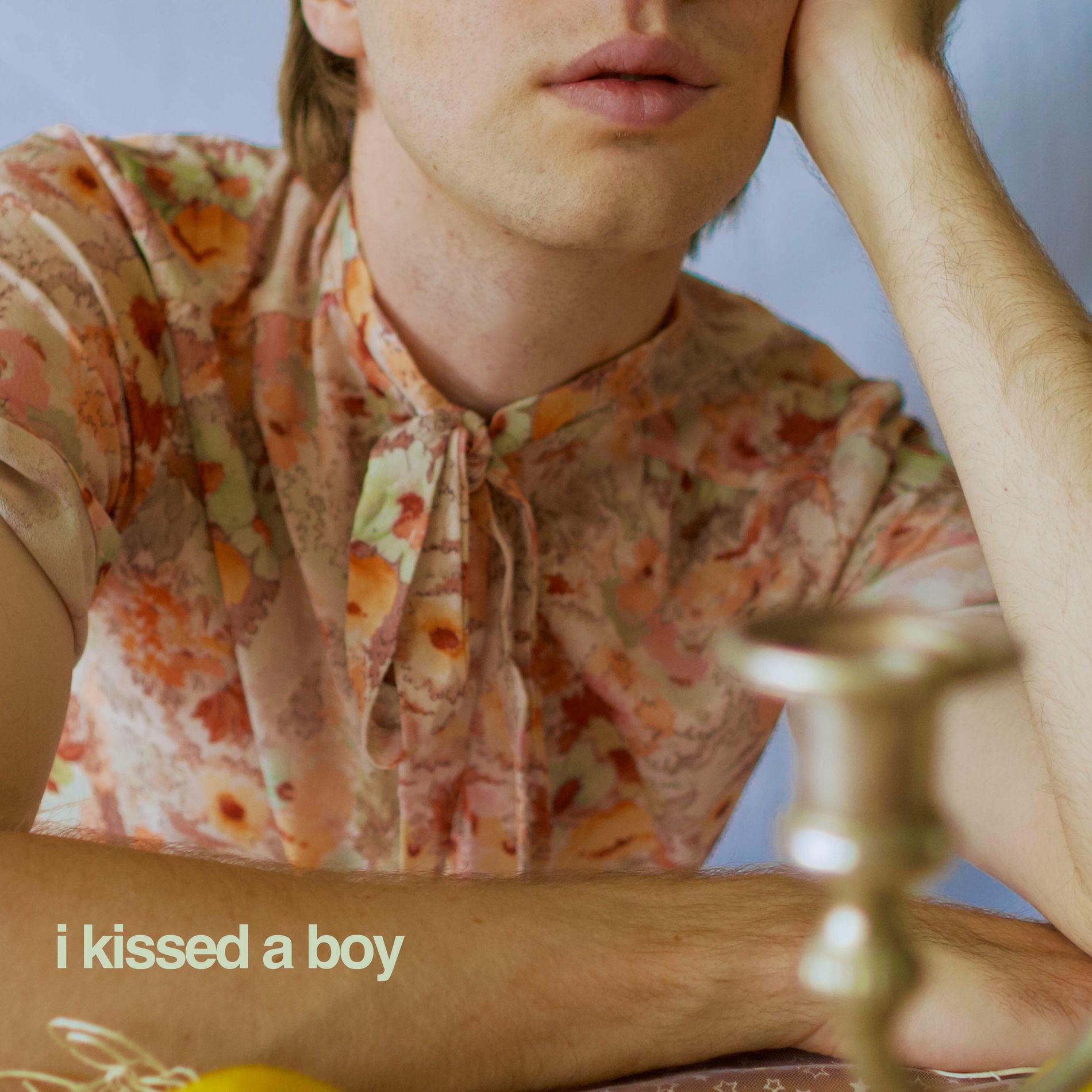 Album cover of I Kissed a Boy