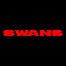 Swans
