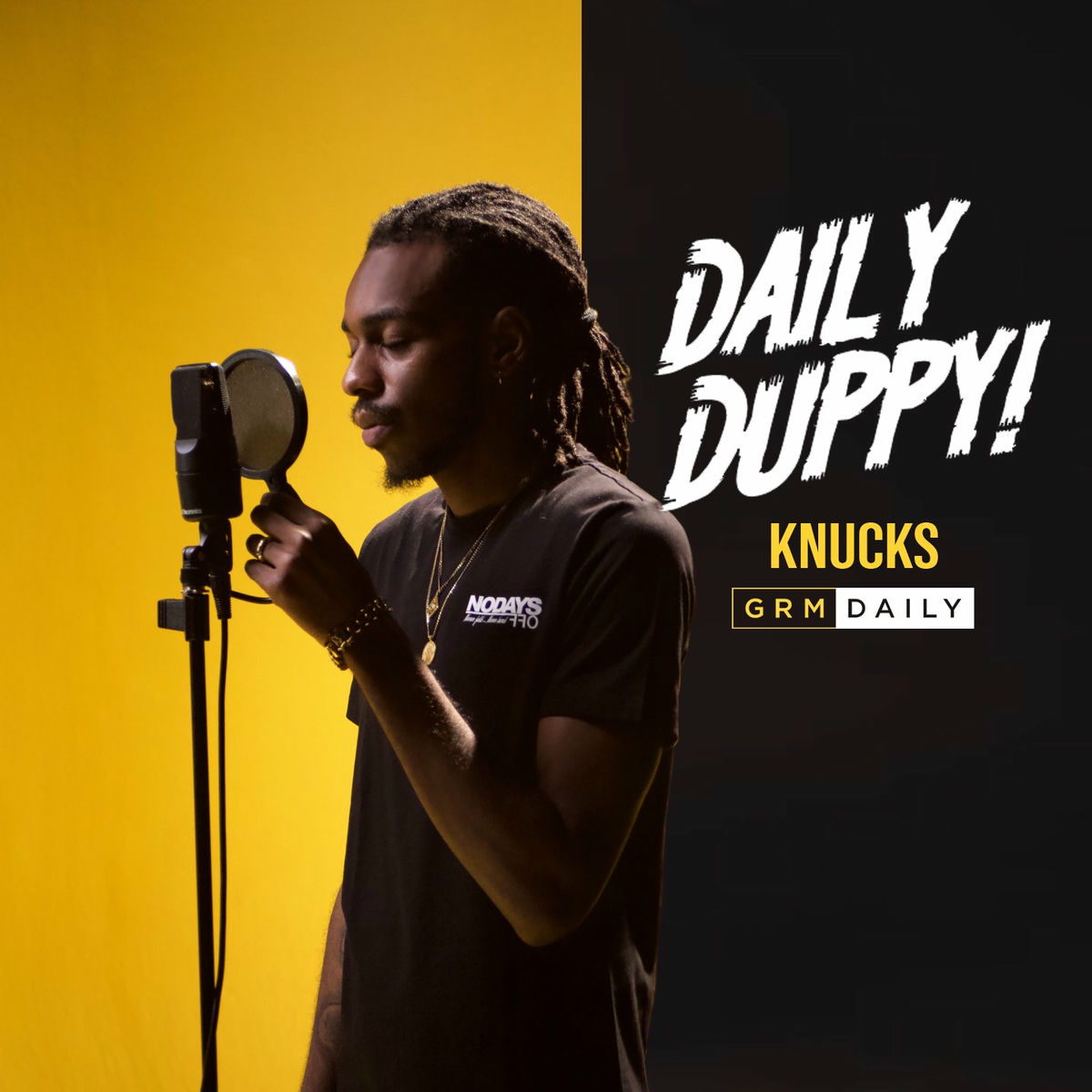 Album cover of Daily Duppy