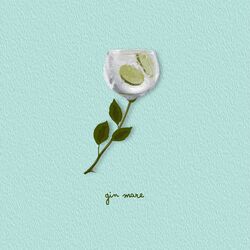 Cover of GIN MARE