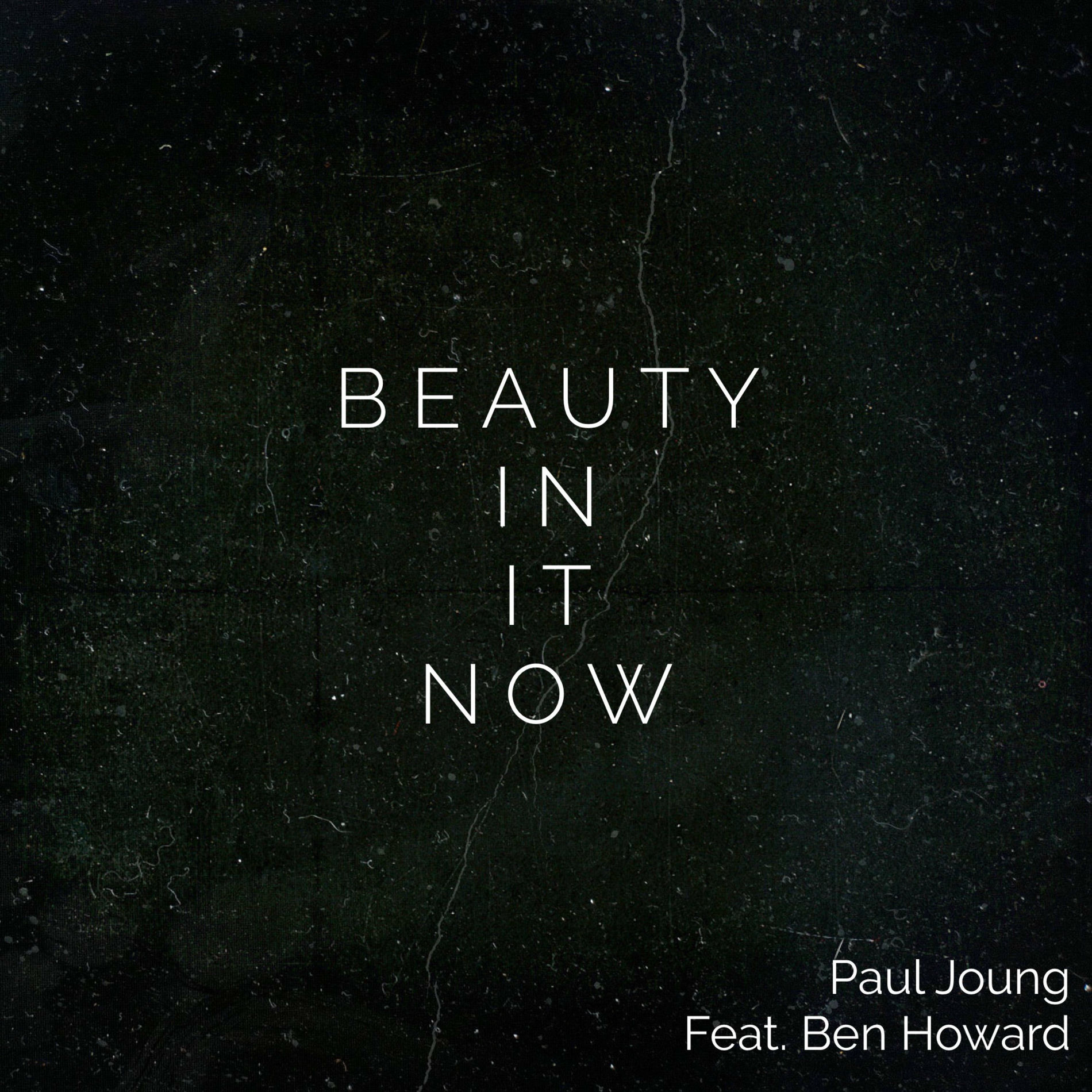 Album cover of Beauty in It Now
