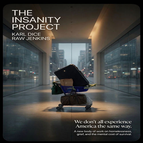 The Insanity Project artwork