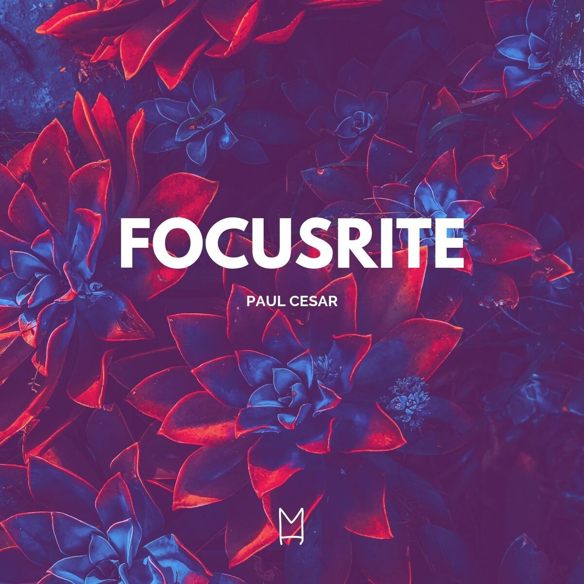 Album cover of Focusrite
