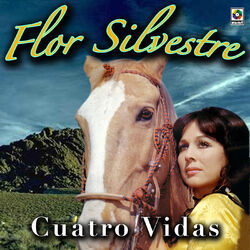 Cover of Cuatro Vidas