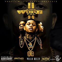 Cover of Lite Work, Vol. 2