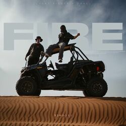 Cover of Fire