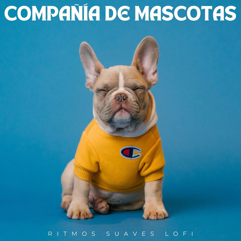 Picture of Compañía De Mascotas: Ritmos Suaves Lofi