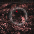 Circle