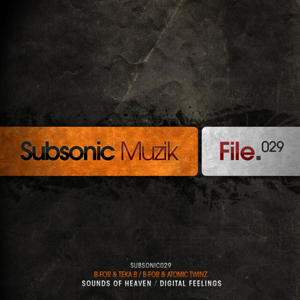 Picture of Sounds Of Heaven / Digital Feelings