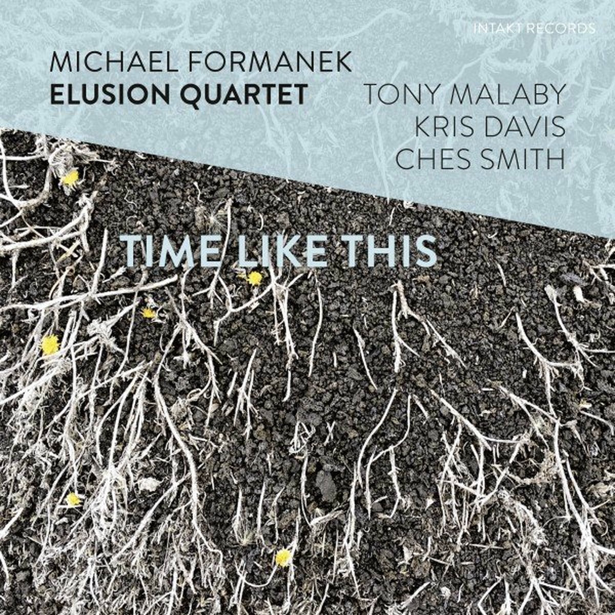 Album cover of Time Like This