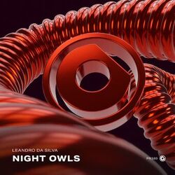 Cover of Night Owls
