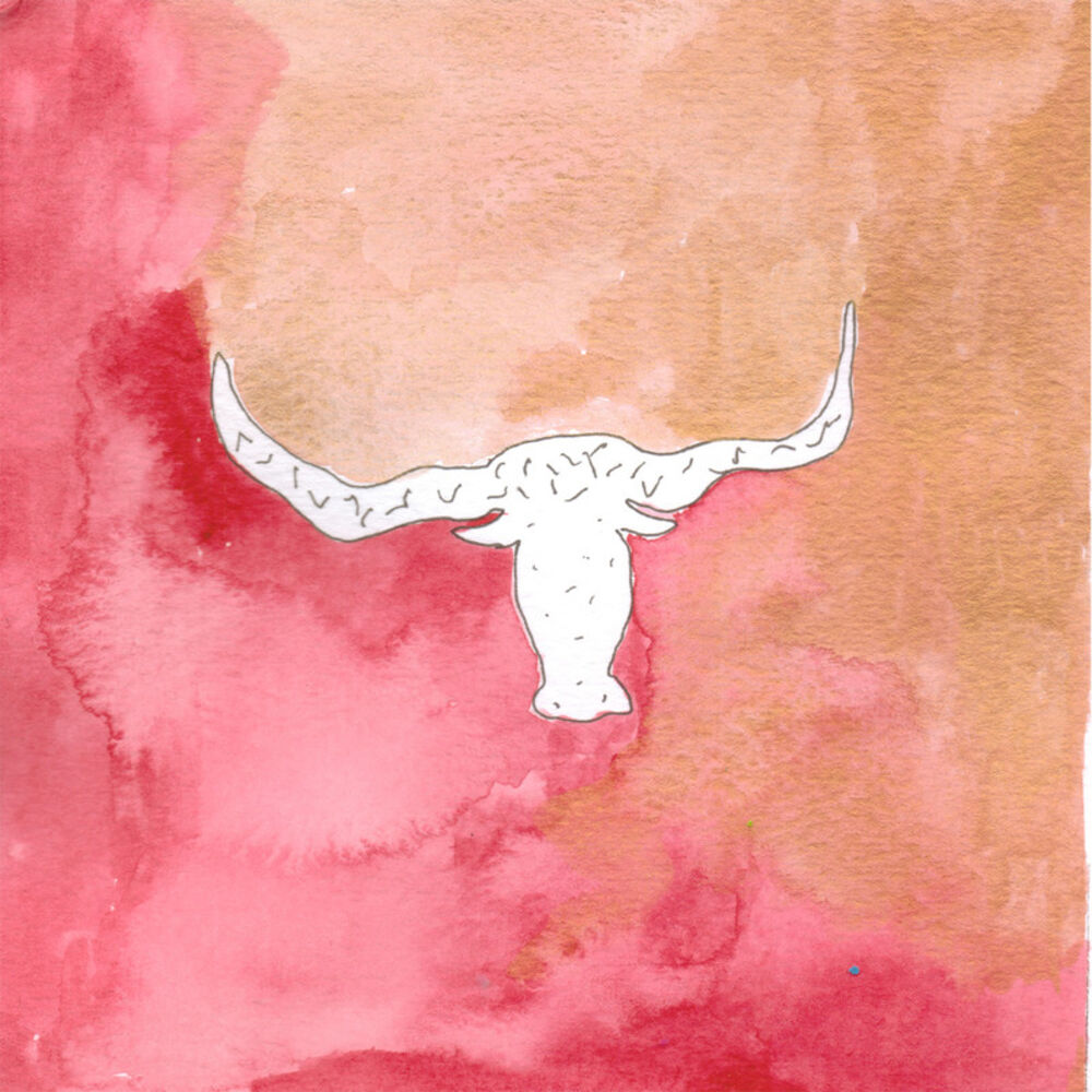 Picture of Little Bull