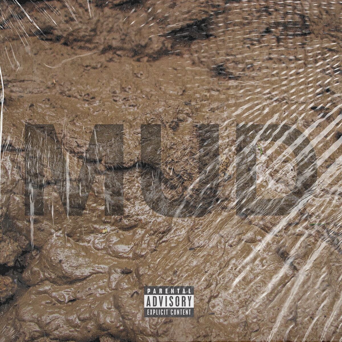 Album cover of Mud