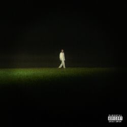 Cover of ANIMAL / ANYWHERE BUT HERE
