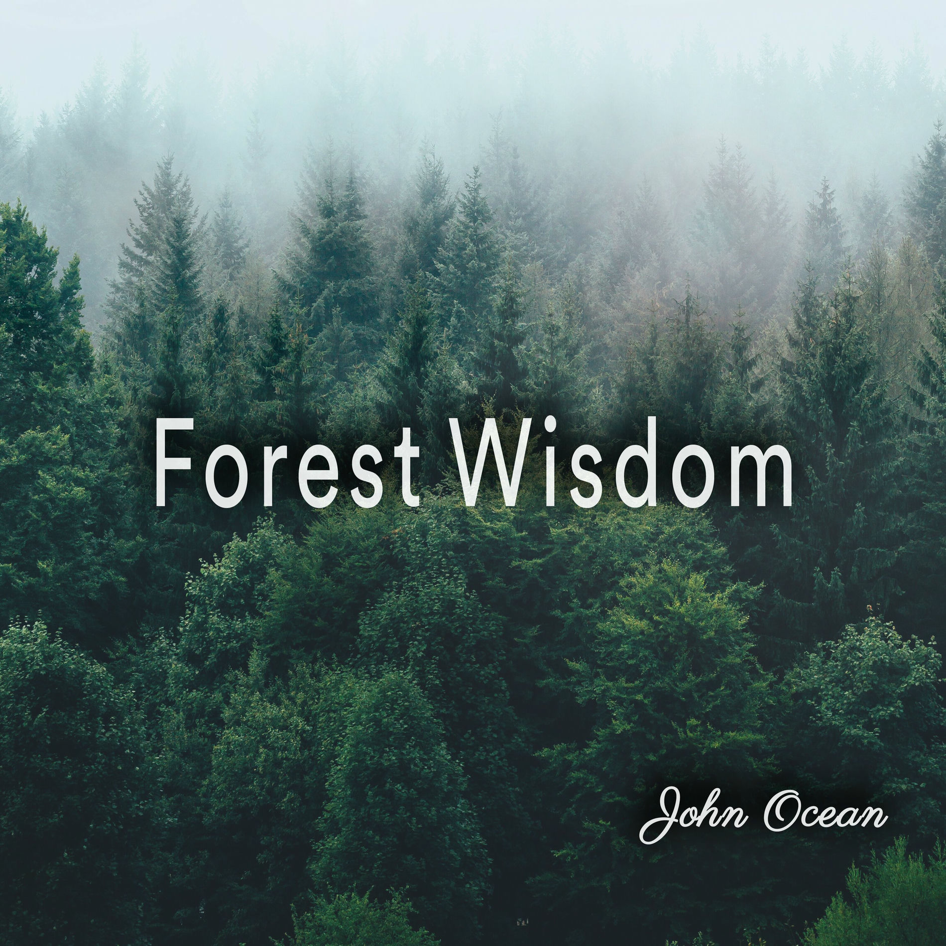 Album cover of Forest Wisdom