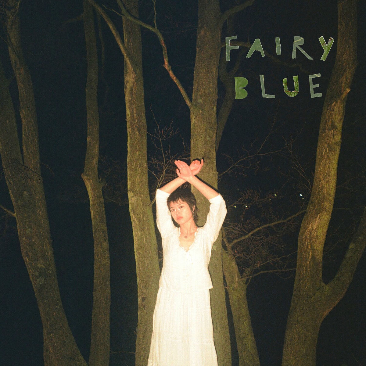 Album cover of Fairy Blue