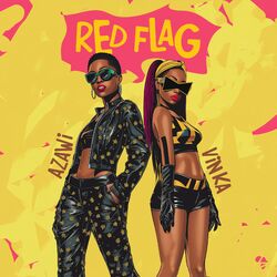 Cover of Red Flag