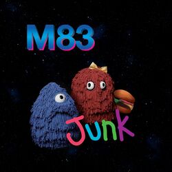 Cover of Junk