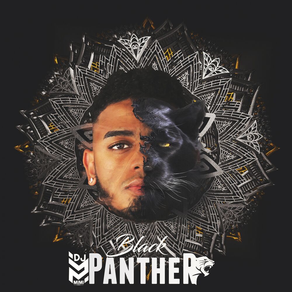 Picture of Black Panther