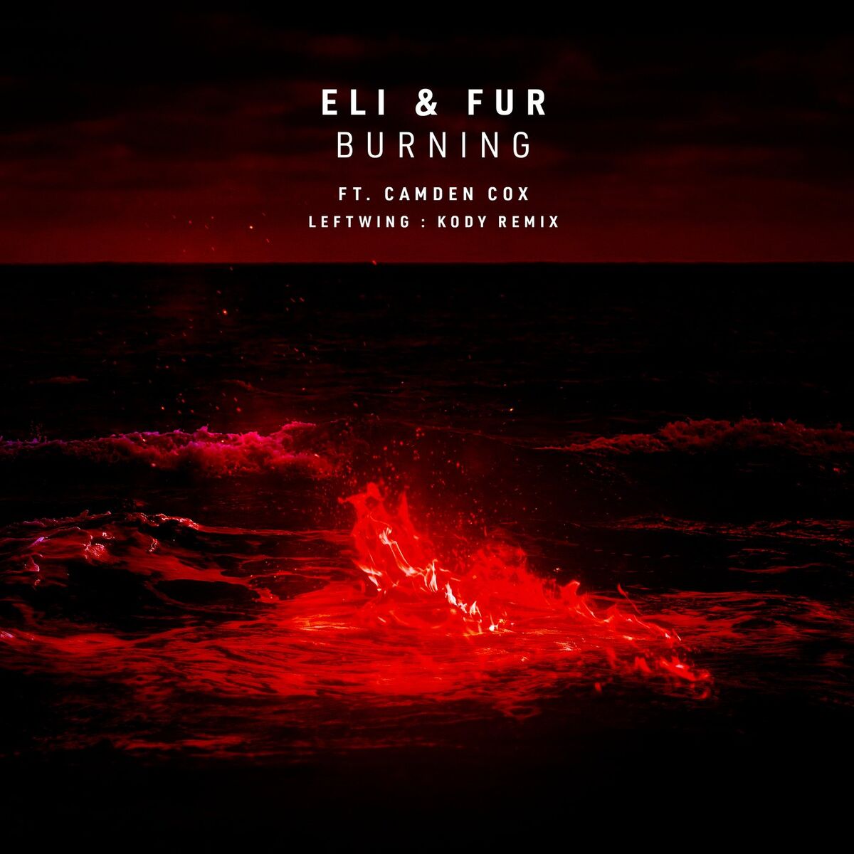 Album cover of Burning (Leftwing : Kody Remix)