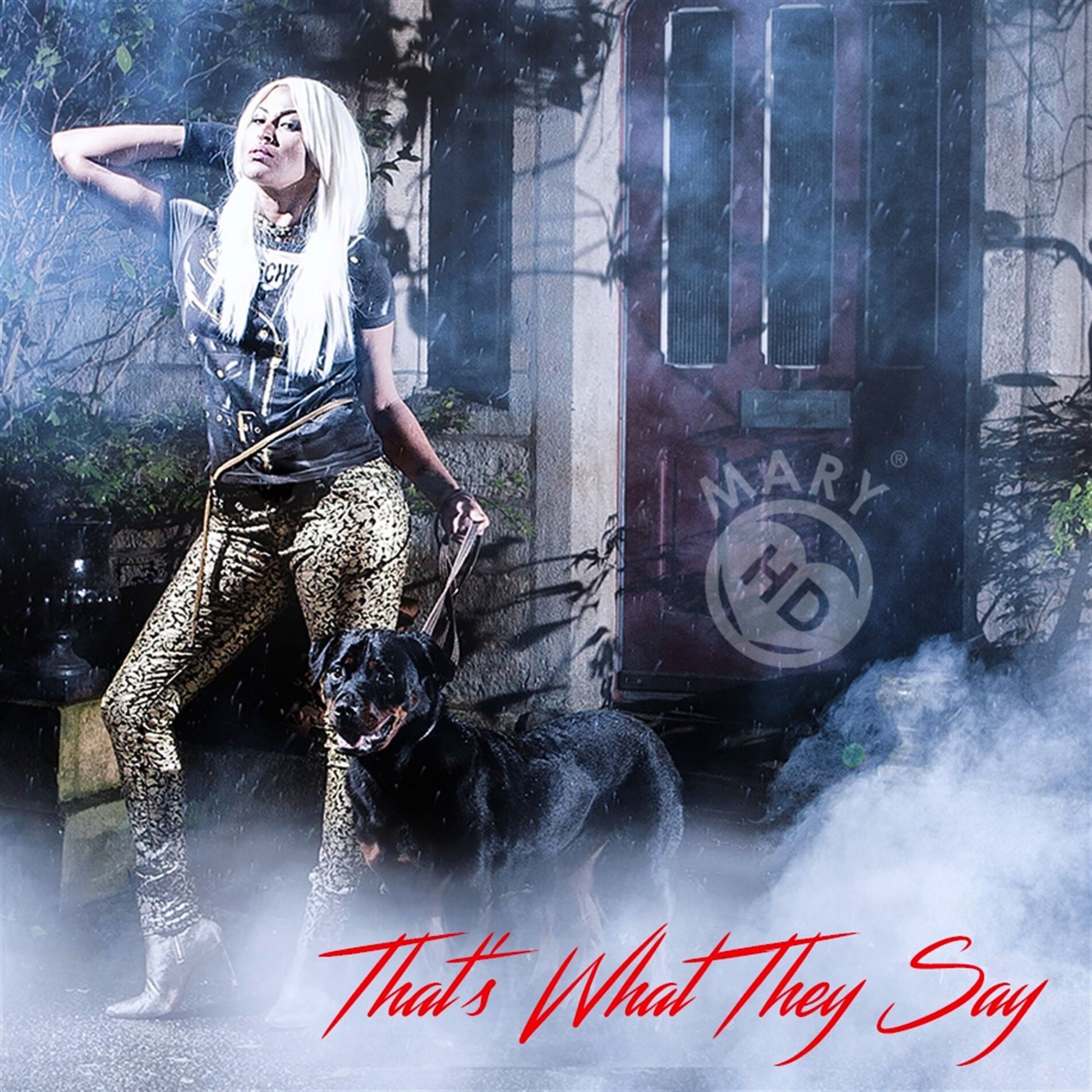 Album cover of That's What They Say