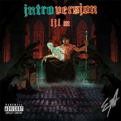 Cover of Introversion