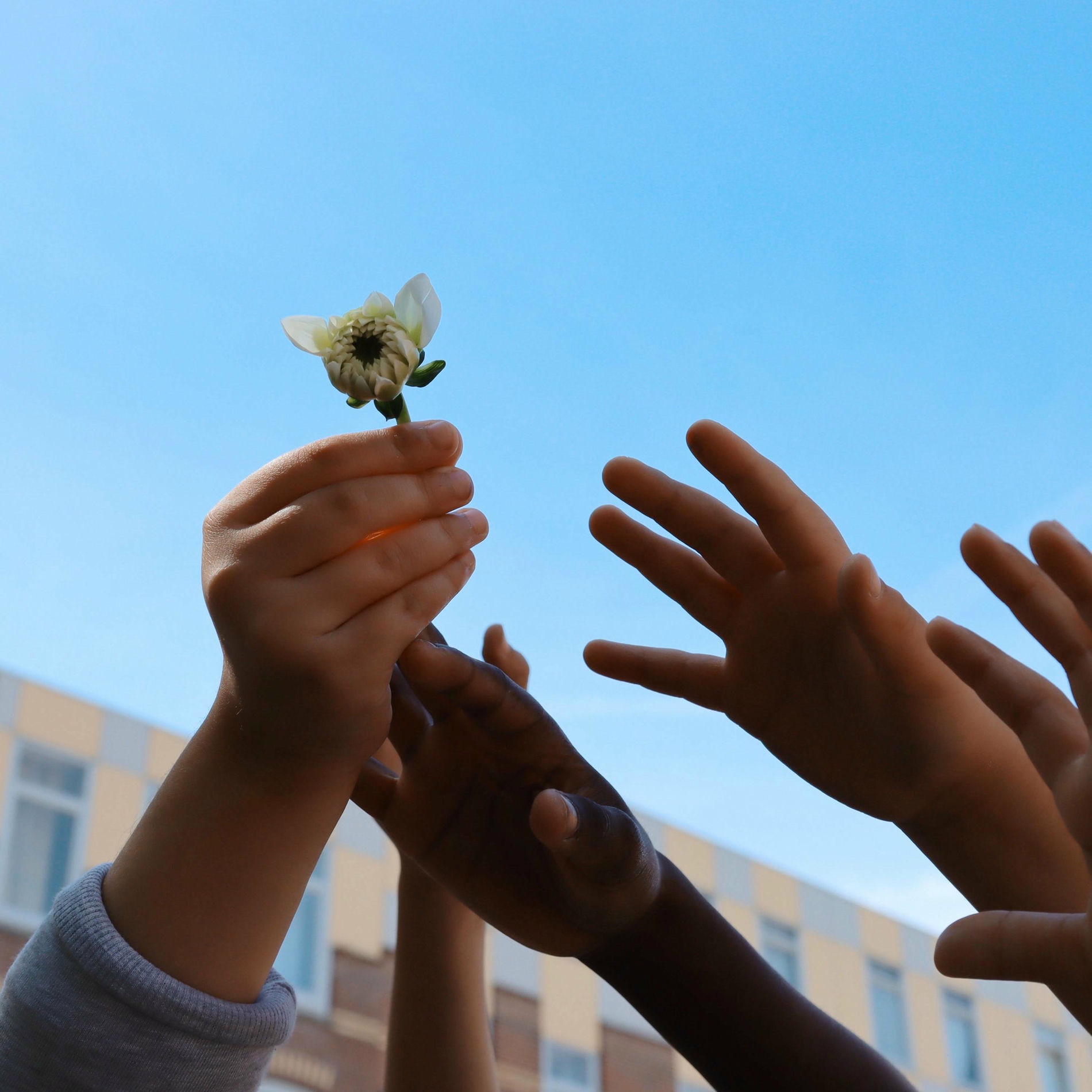 Album cover of Niemand Anders (feat. Joël Domingos, Julius, Q'n, Massi & DADA)