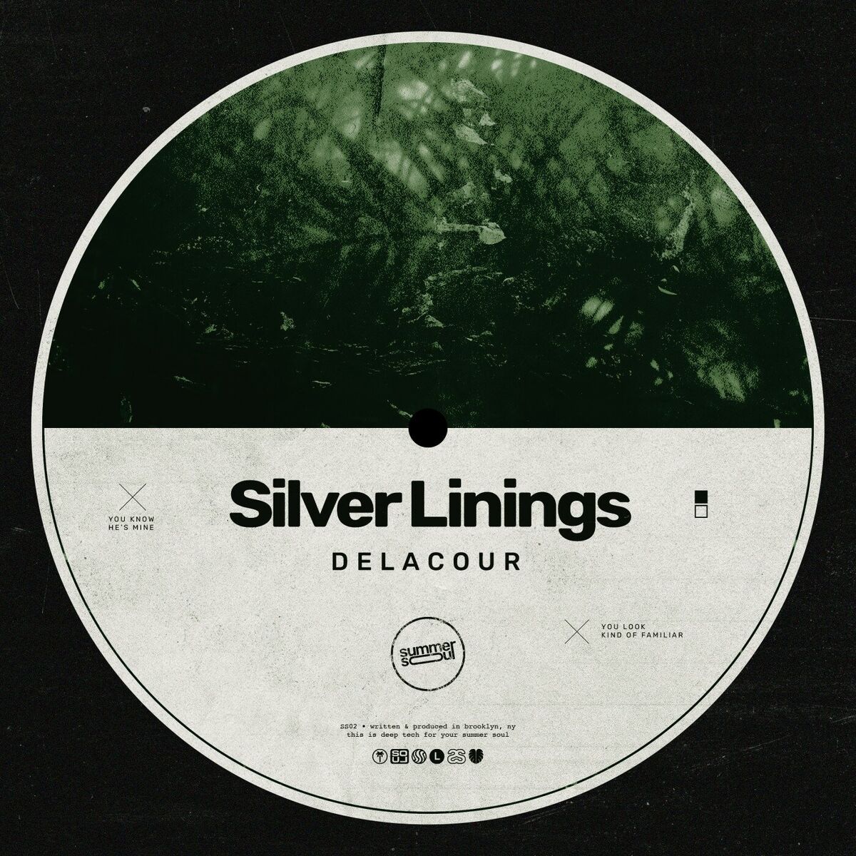 Album cover of Silver Linings