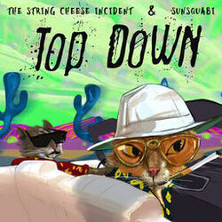 Cover of Top Down - Single