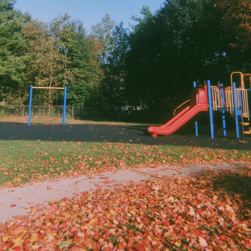 colored leaves on the playground