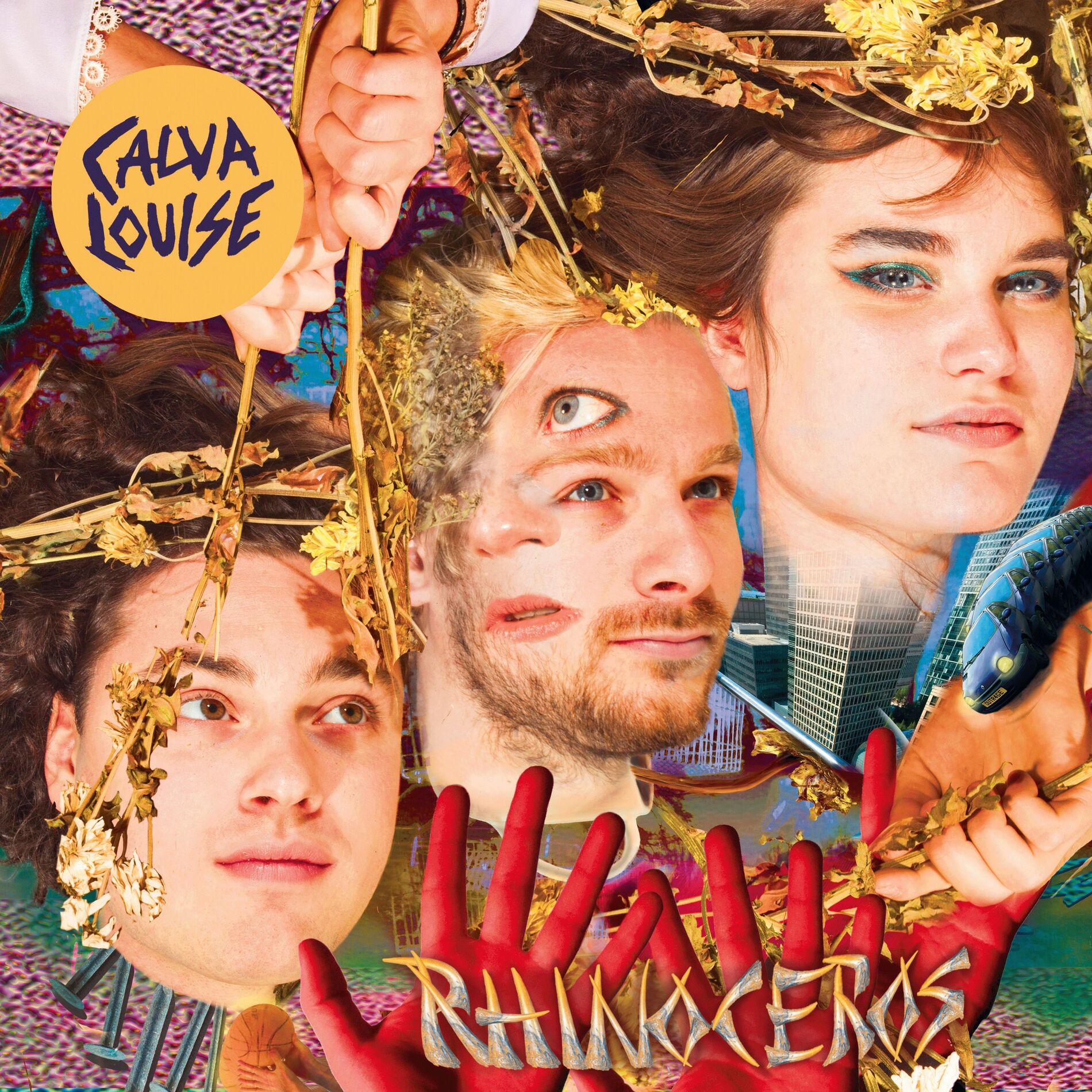 Album cover of Rhinoceros