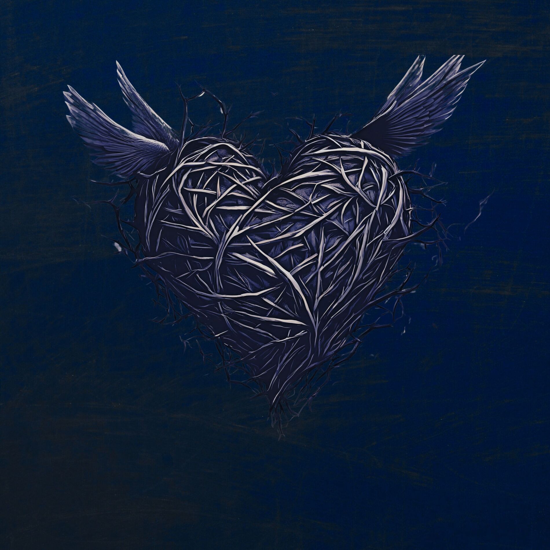 Album cover of VUELA