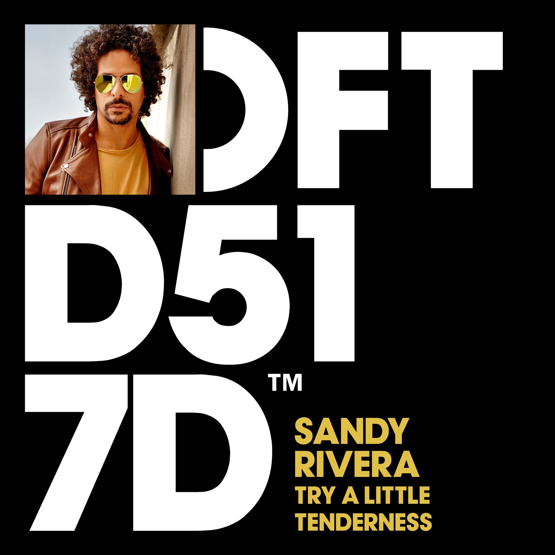 Album cover of Try A Little Tenderness