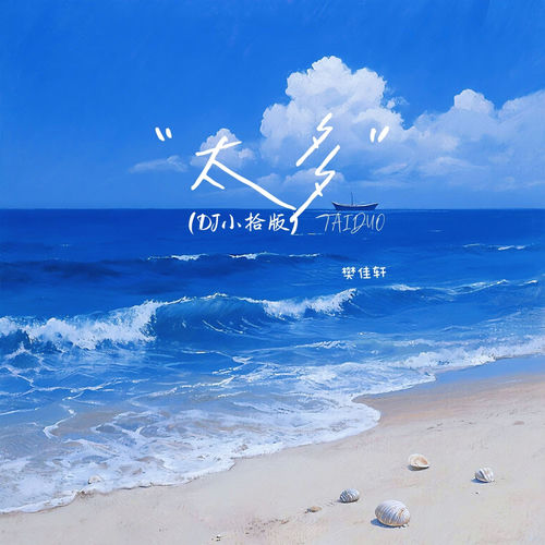 太多 (Dj小拾版)