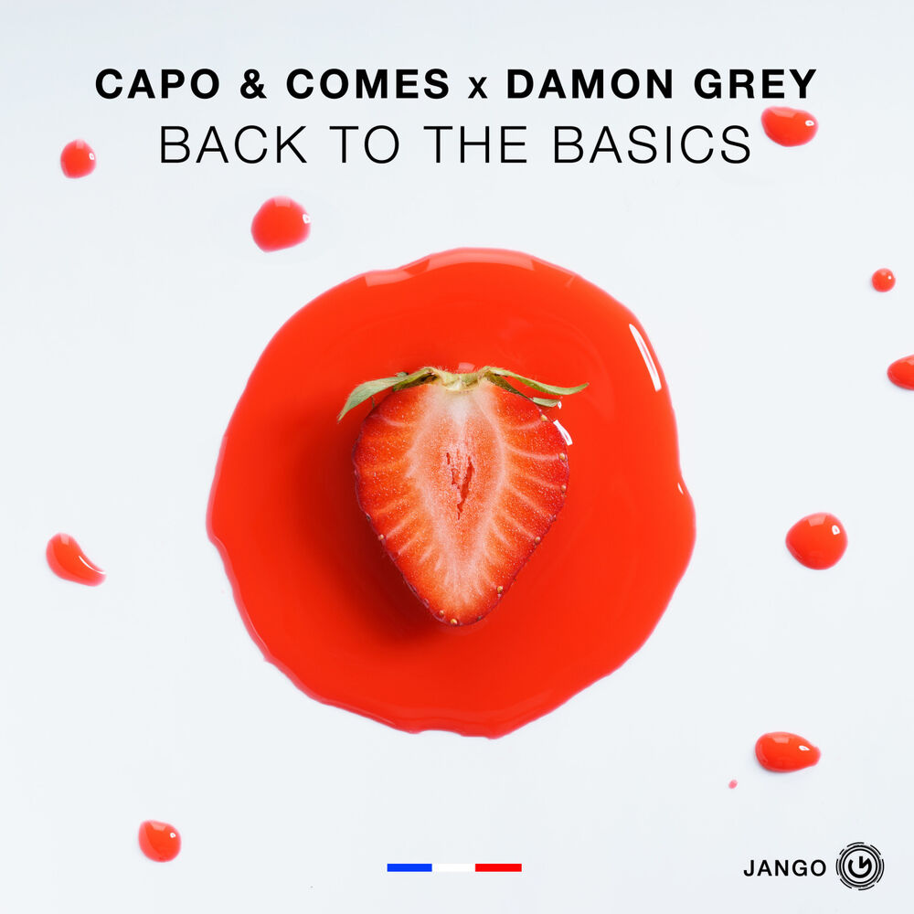 Picture of Back to the Basics