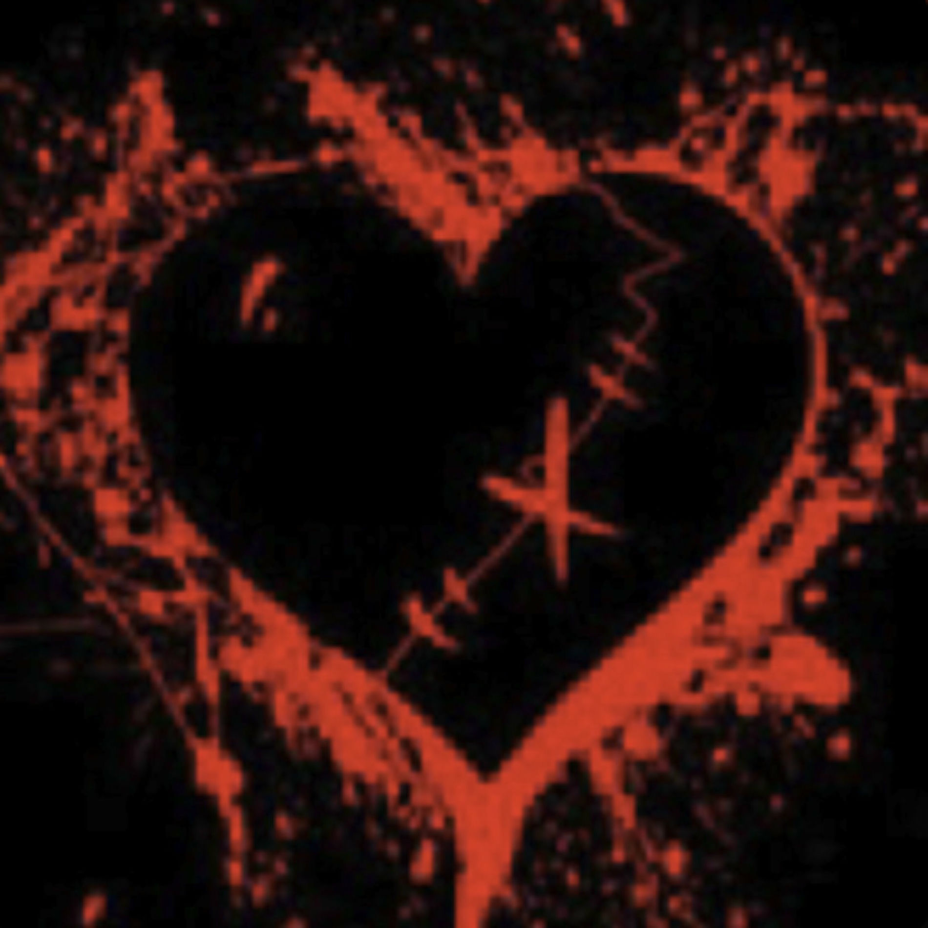 Album cover of No Love
