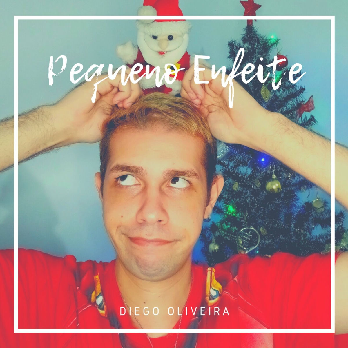 Album cover of Pequeno Enfeite