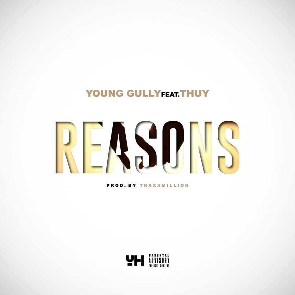 Picture of Reasons (feat. Thuy) - Single