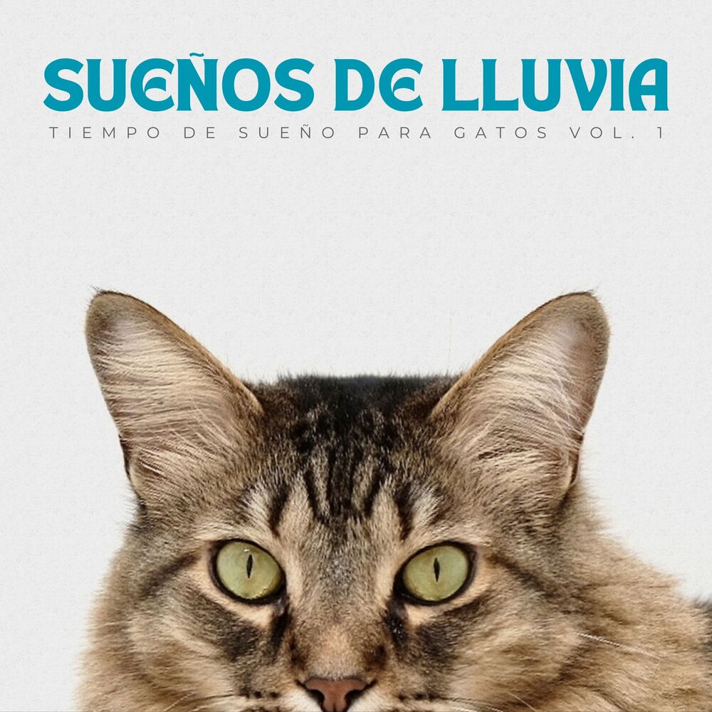 Picture of Sueños De Lluvia: Tiempo De Sueño Para Gatos Vol. 1